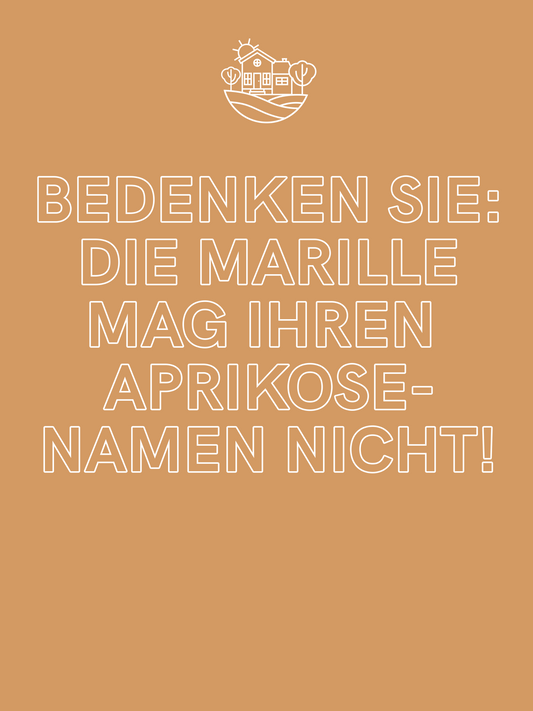 BIO Marillen Chutney 200g