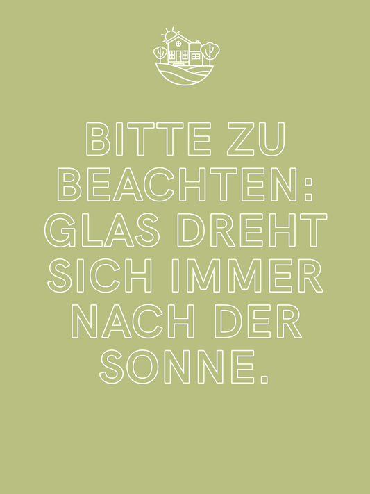 BIO Sonnenblumenkern Pesto 100g