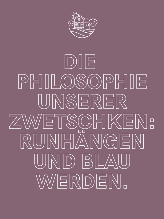 BIO Zwetschken Chutney 200g